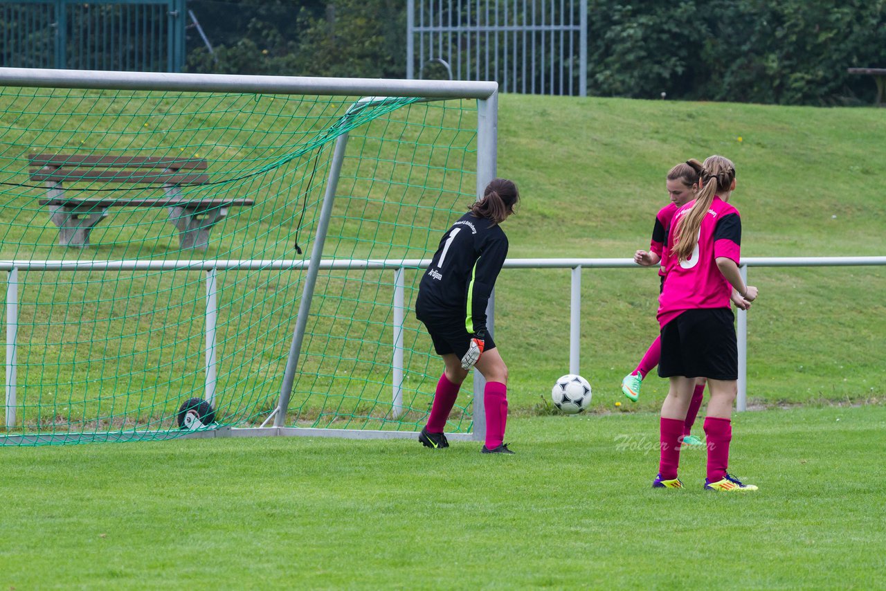 Bild 393 - B-Juniorinnen FSG BraWie 08 - JSG Sandesneben : Ergebnis: 2:0